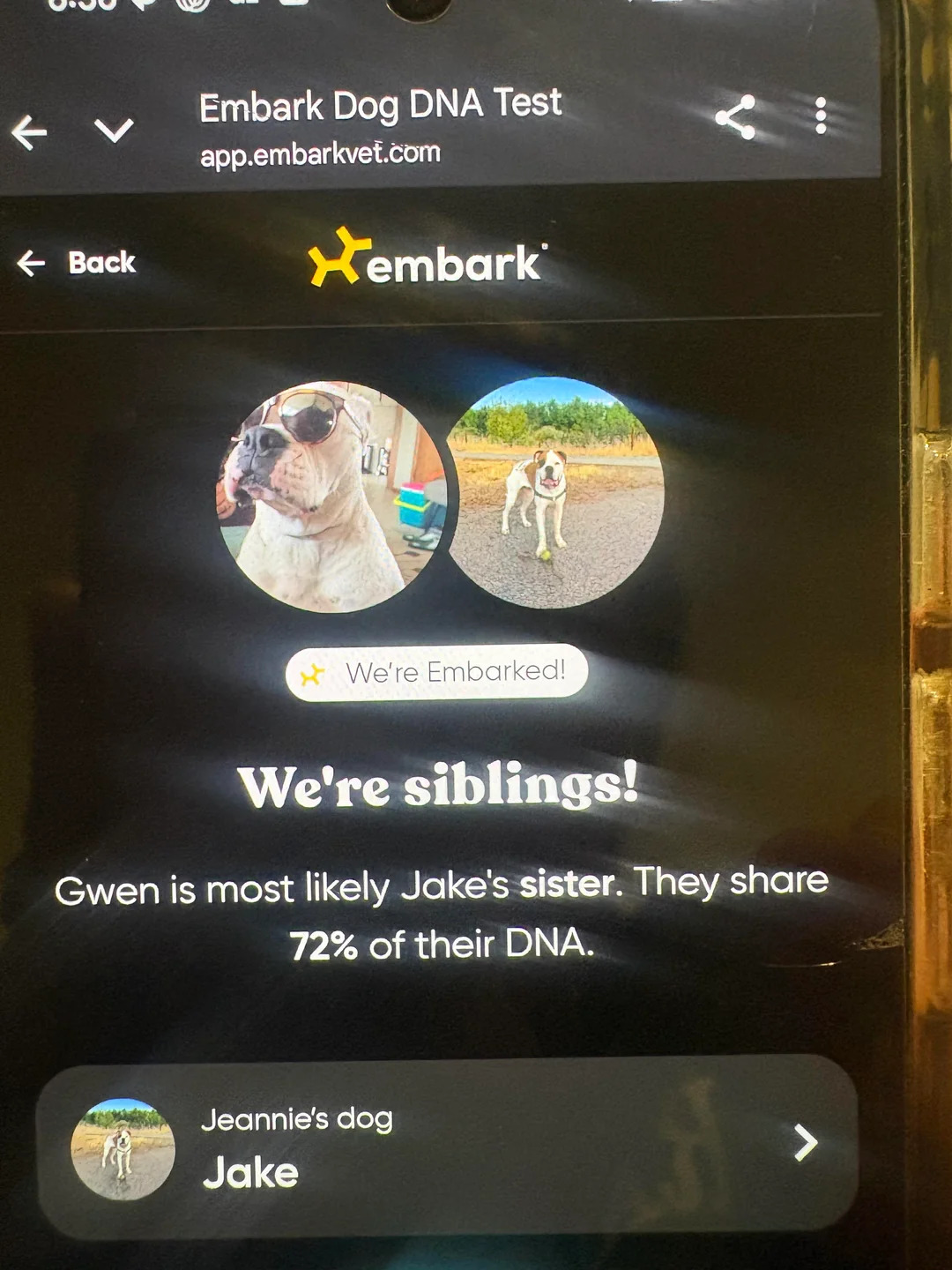 DNA results of dogs