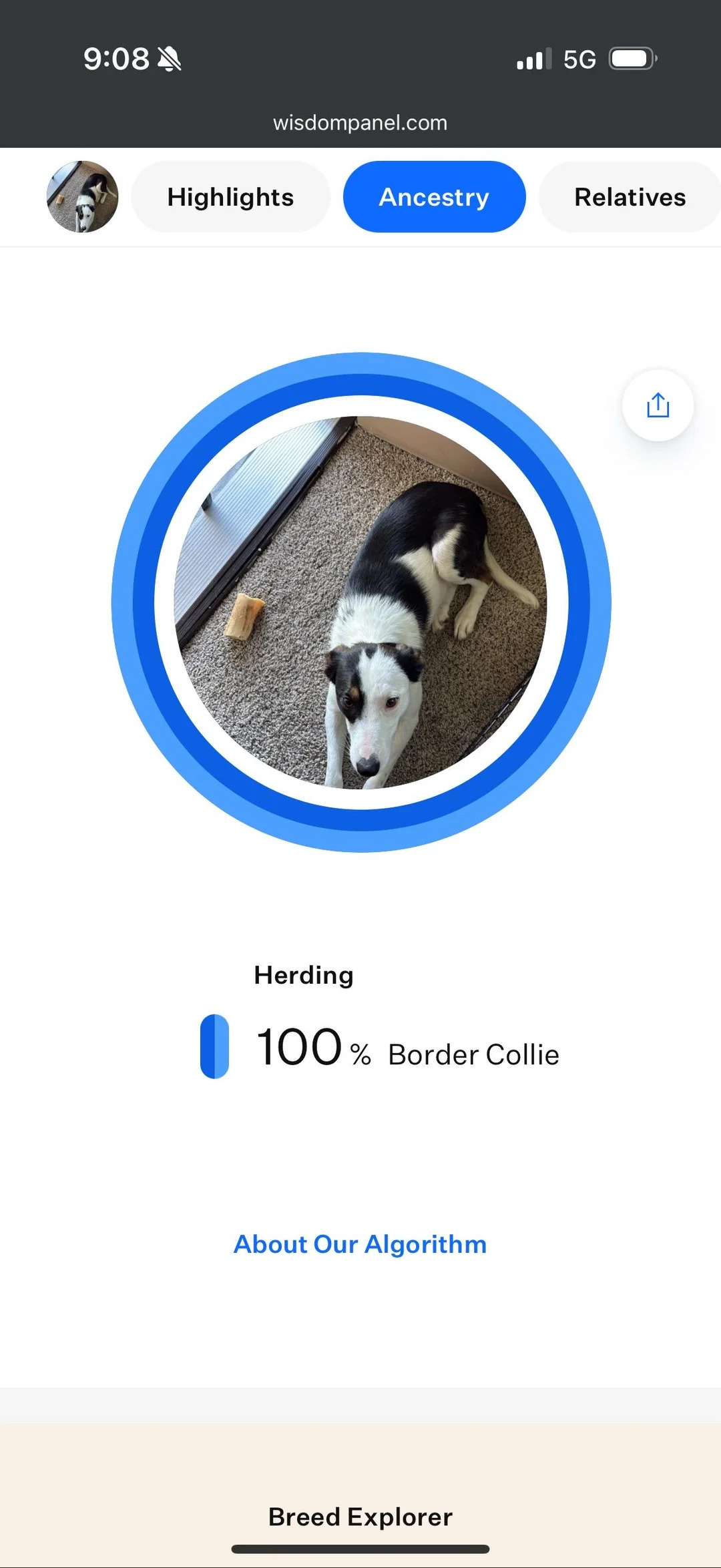 DNA test results