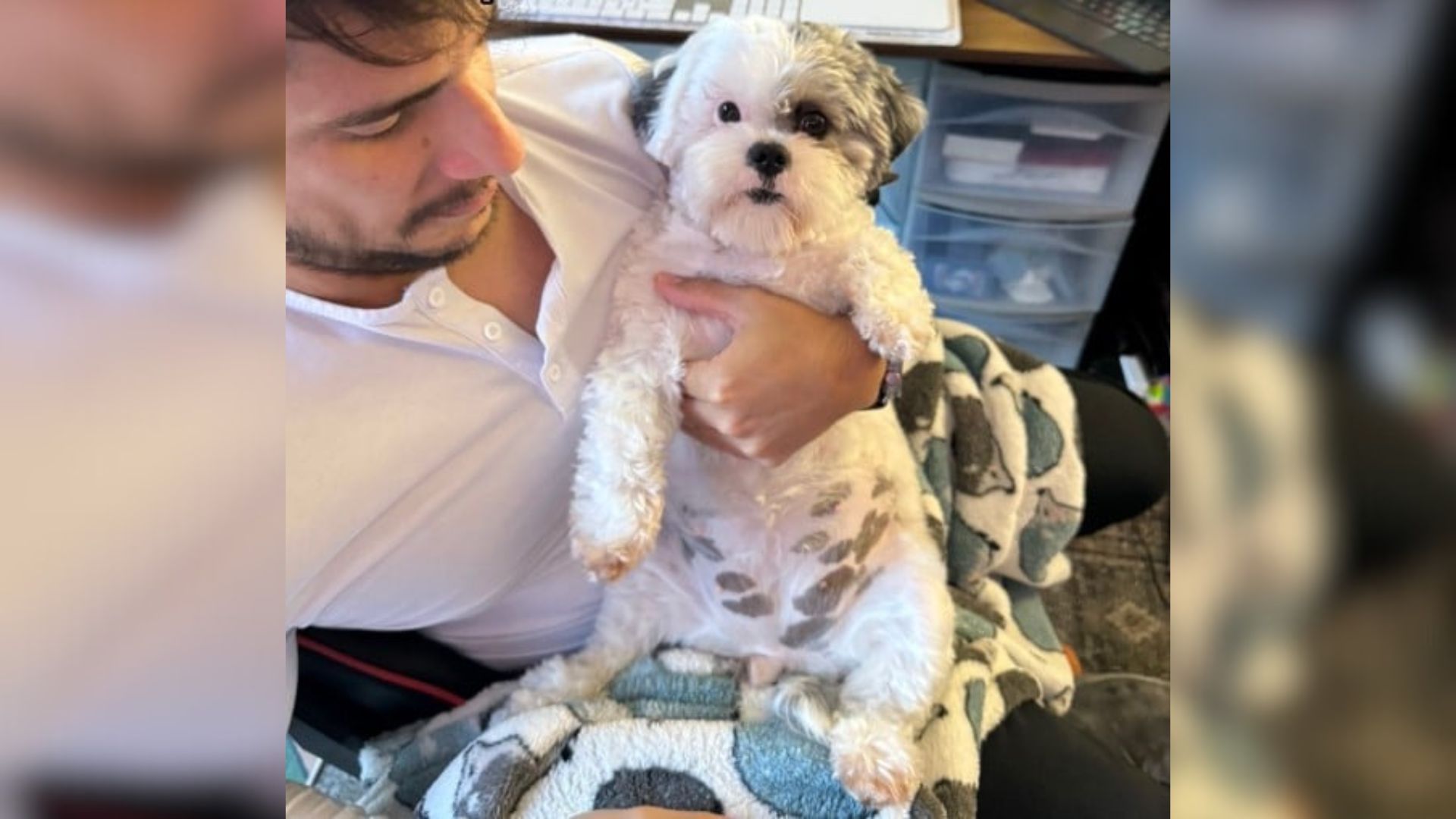 man and dog