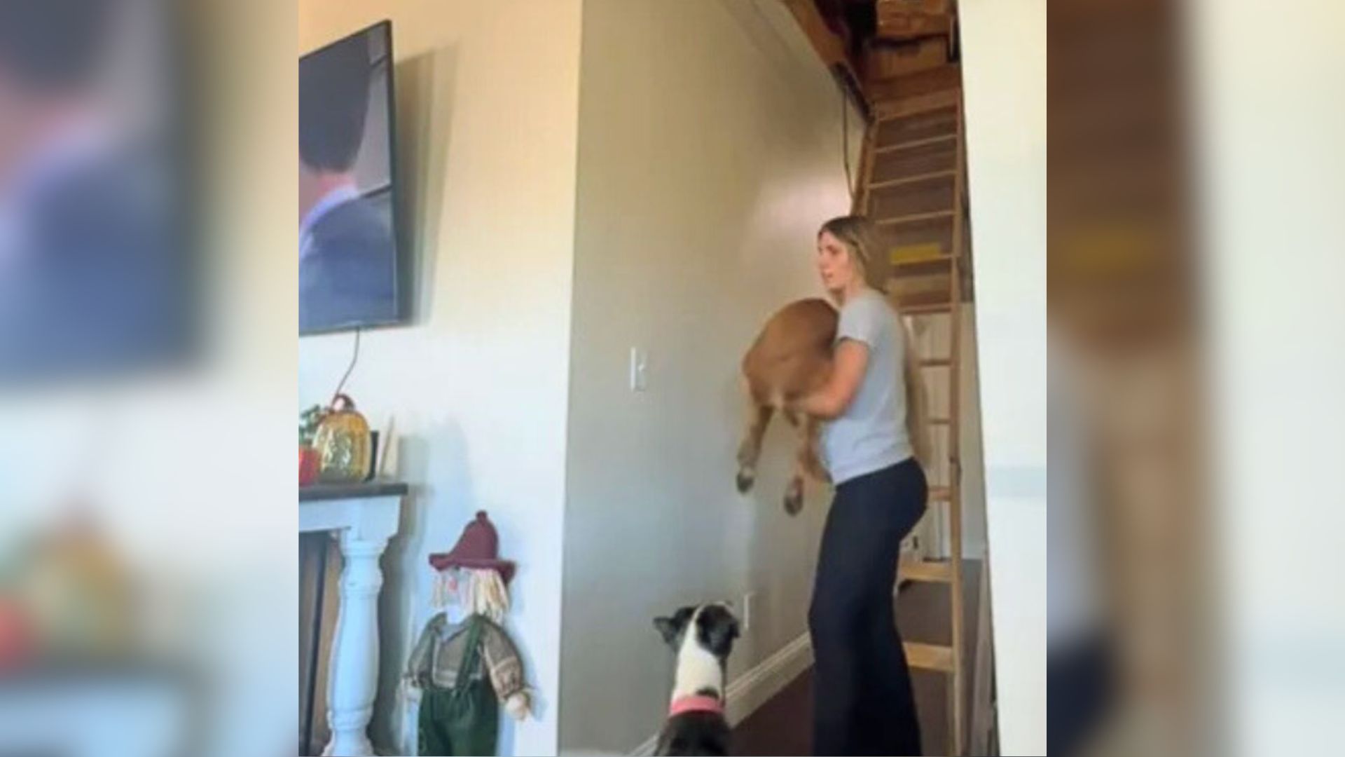 woman holding a Golden Retriever