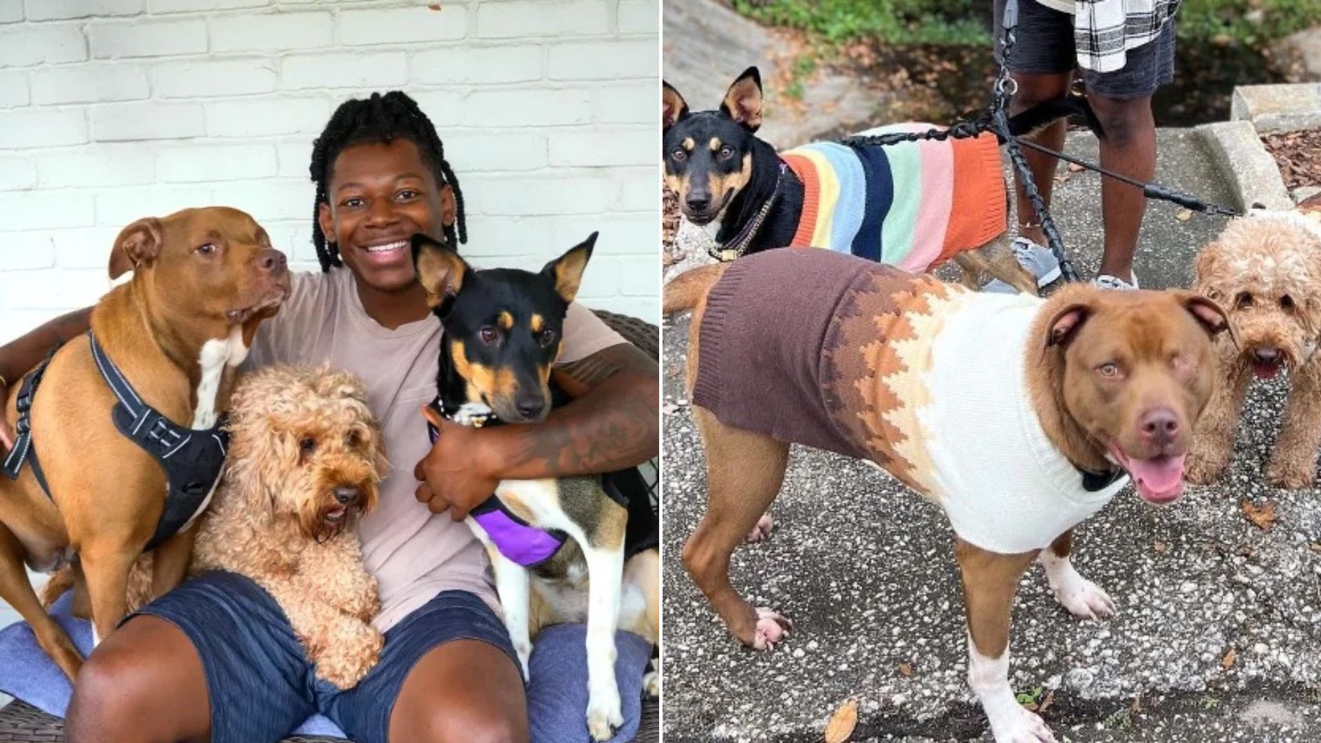 man with three dogs