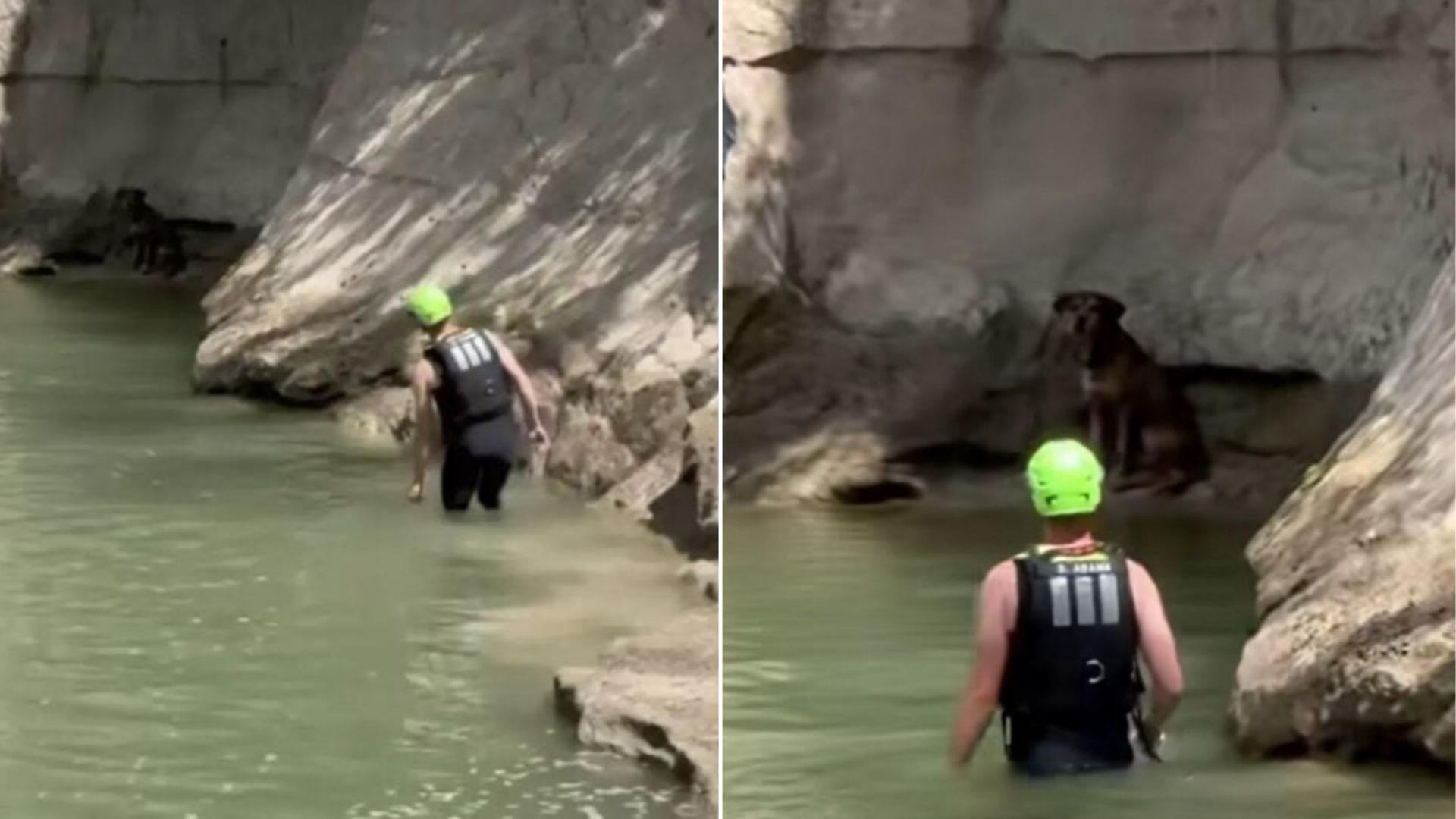 Golfers Notice Something Furry In Creek And Spring Into Action In Texas