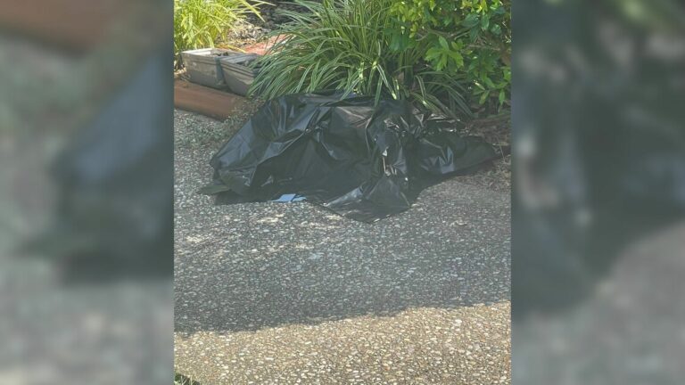 plastic bags