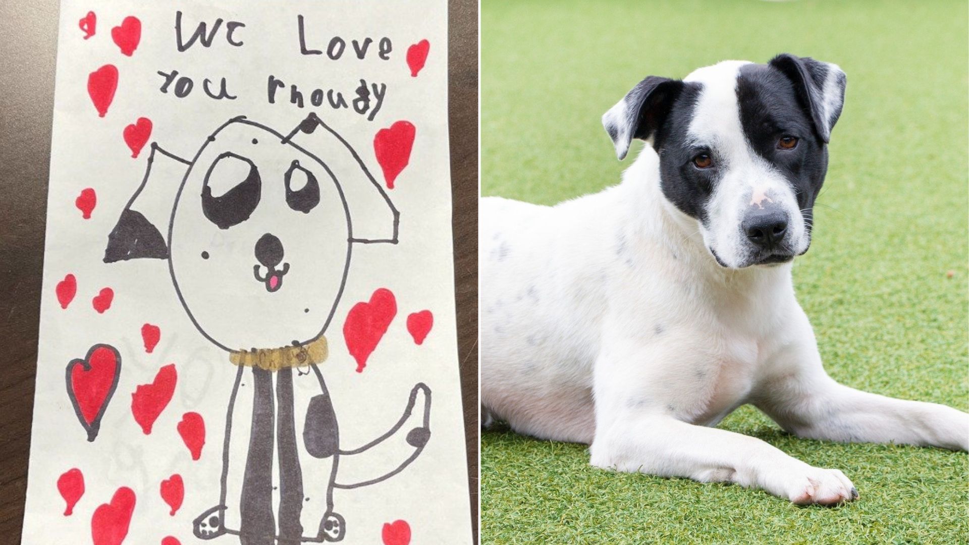 note for dog