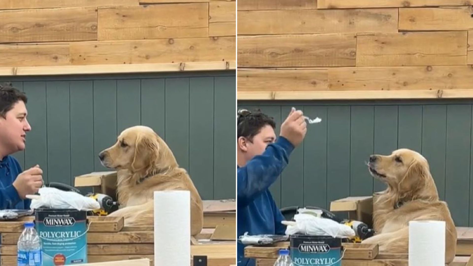 owner and dog