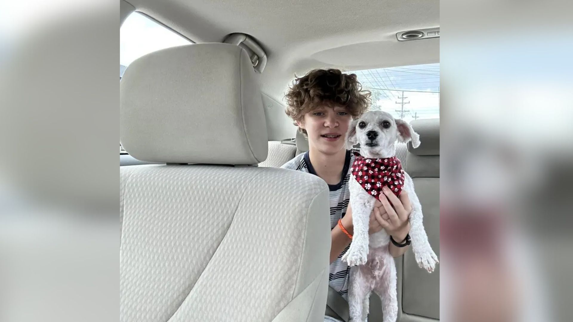 kid and dog in car