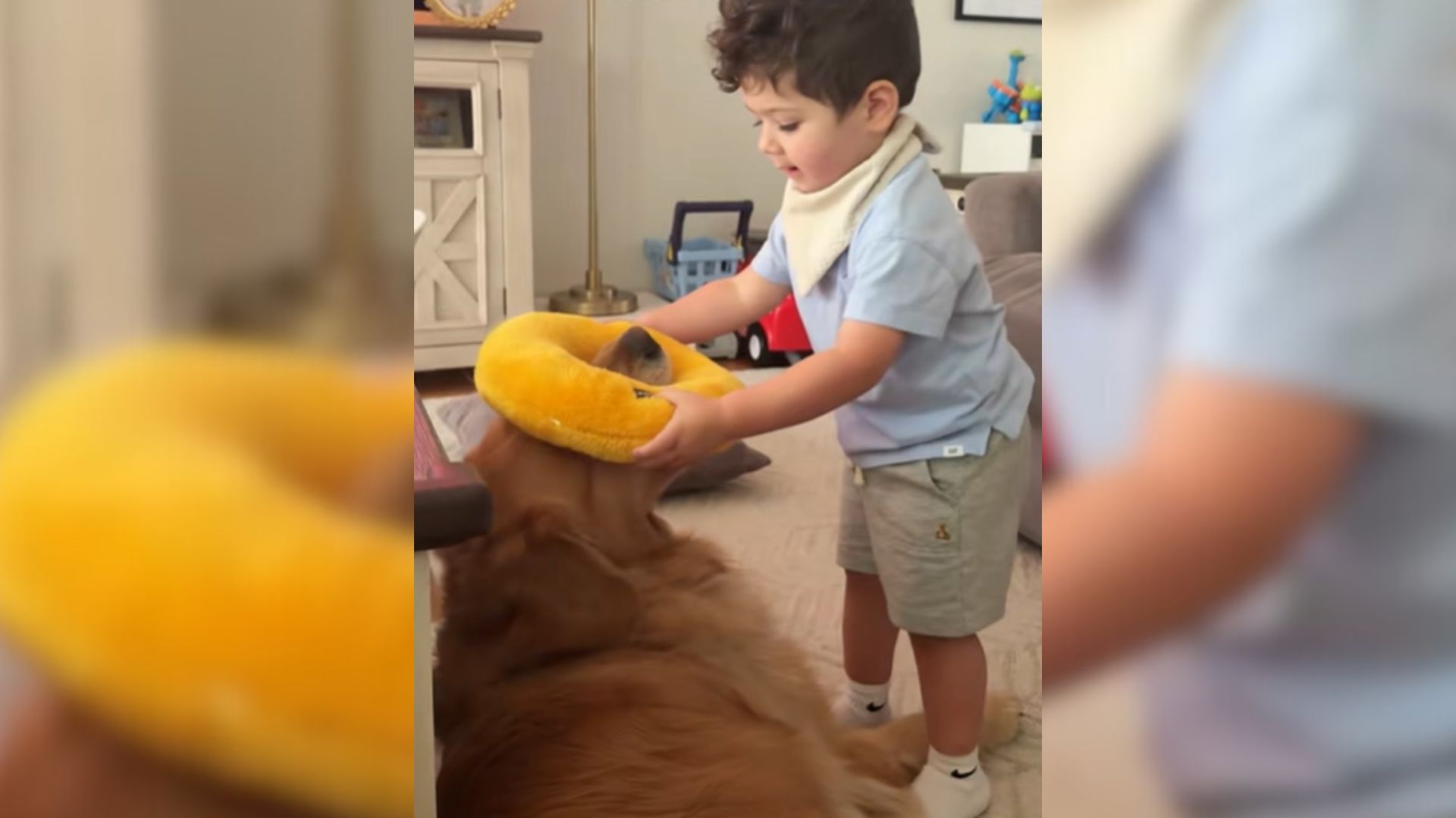 dog and kid