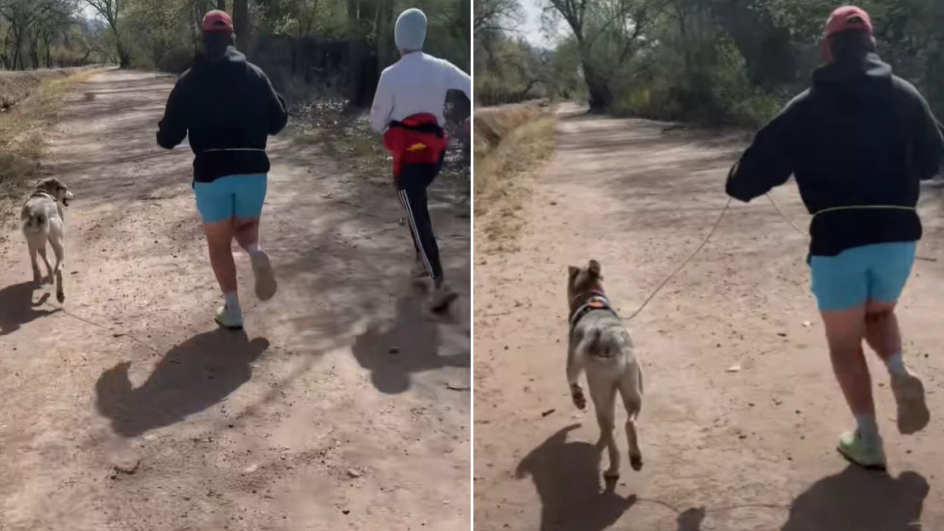 New Mexico Man Takes Shelter Dog For A Run, Then Something Amazing Happens