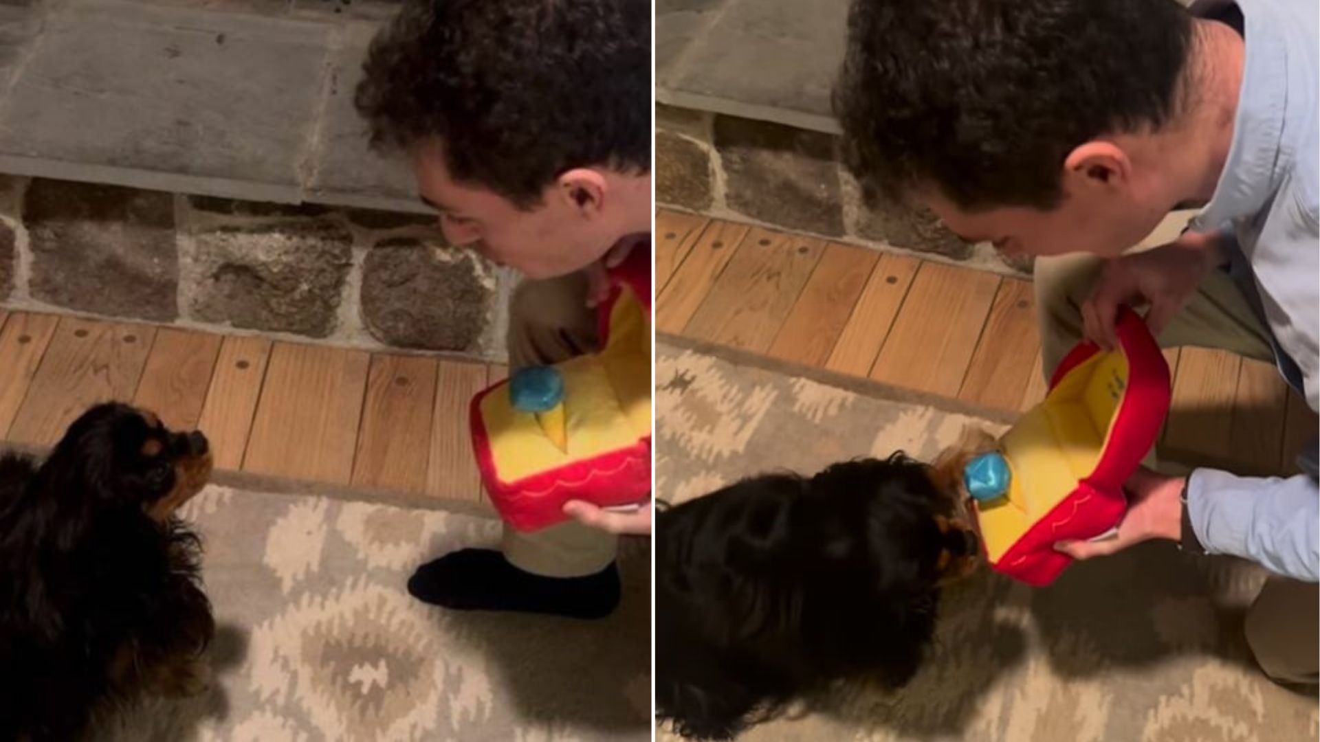 New York Man’s Proposal Comes With A Twist That Made Both The Woman And Her Dog Say Yes