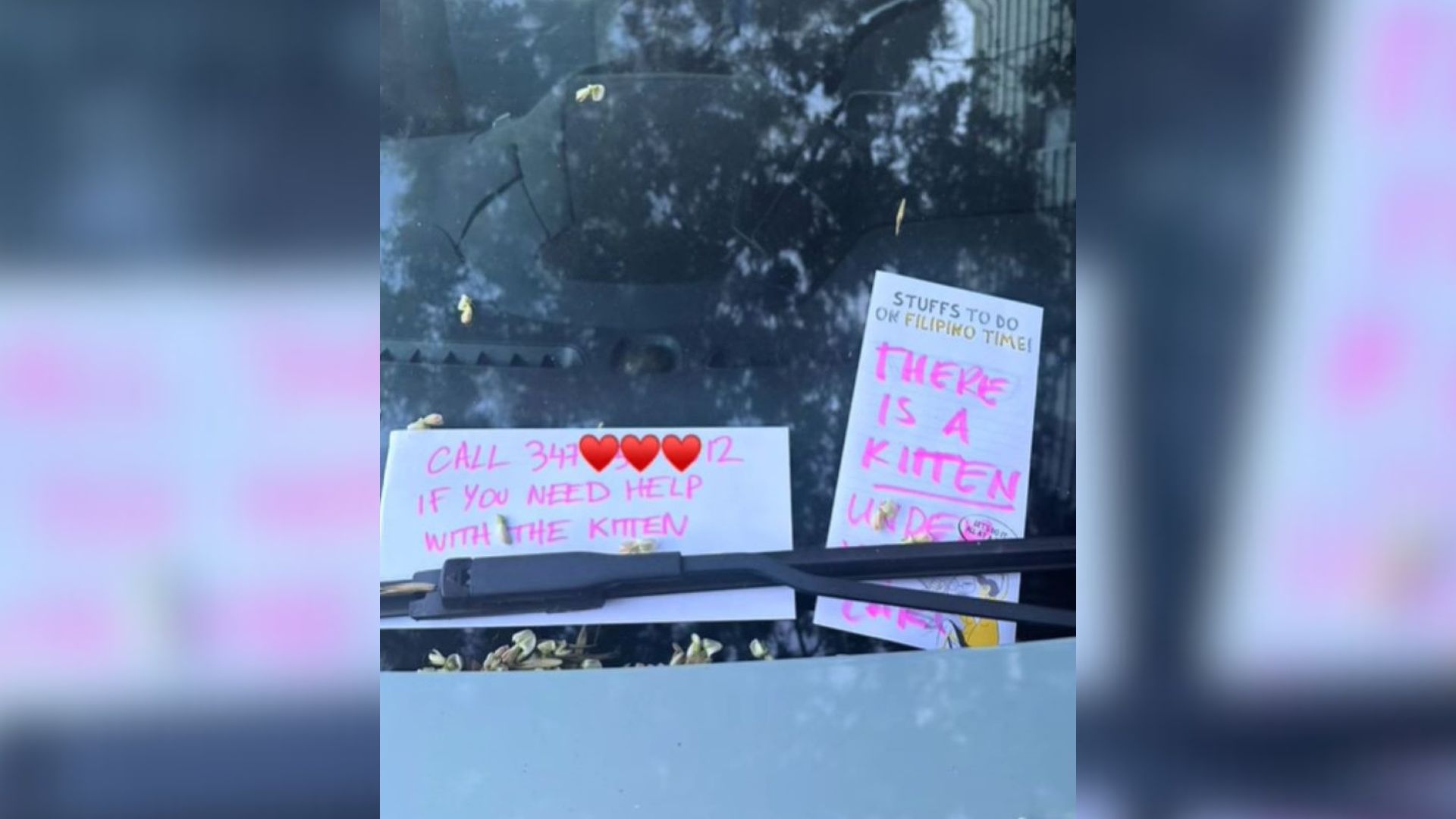 New York Woman Went To Her Car And Saw That Someone Left Shocking Notes On It, So She Quickly Reacted