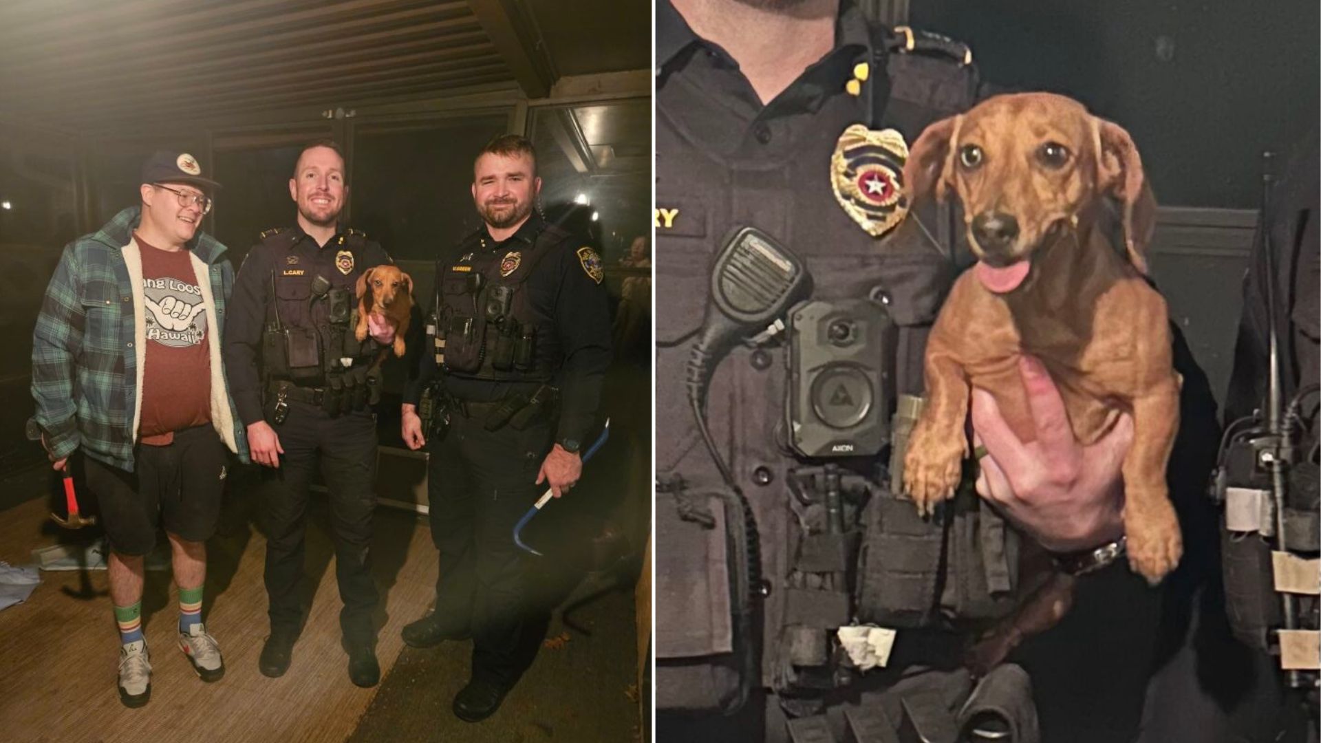 officers and dog