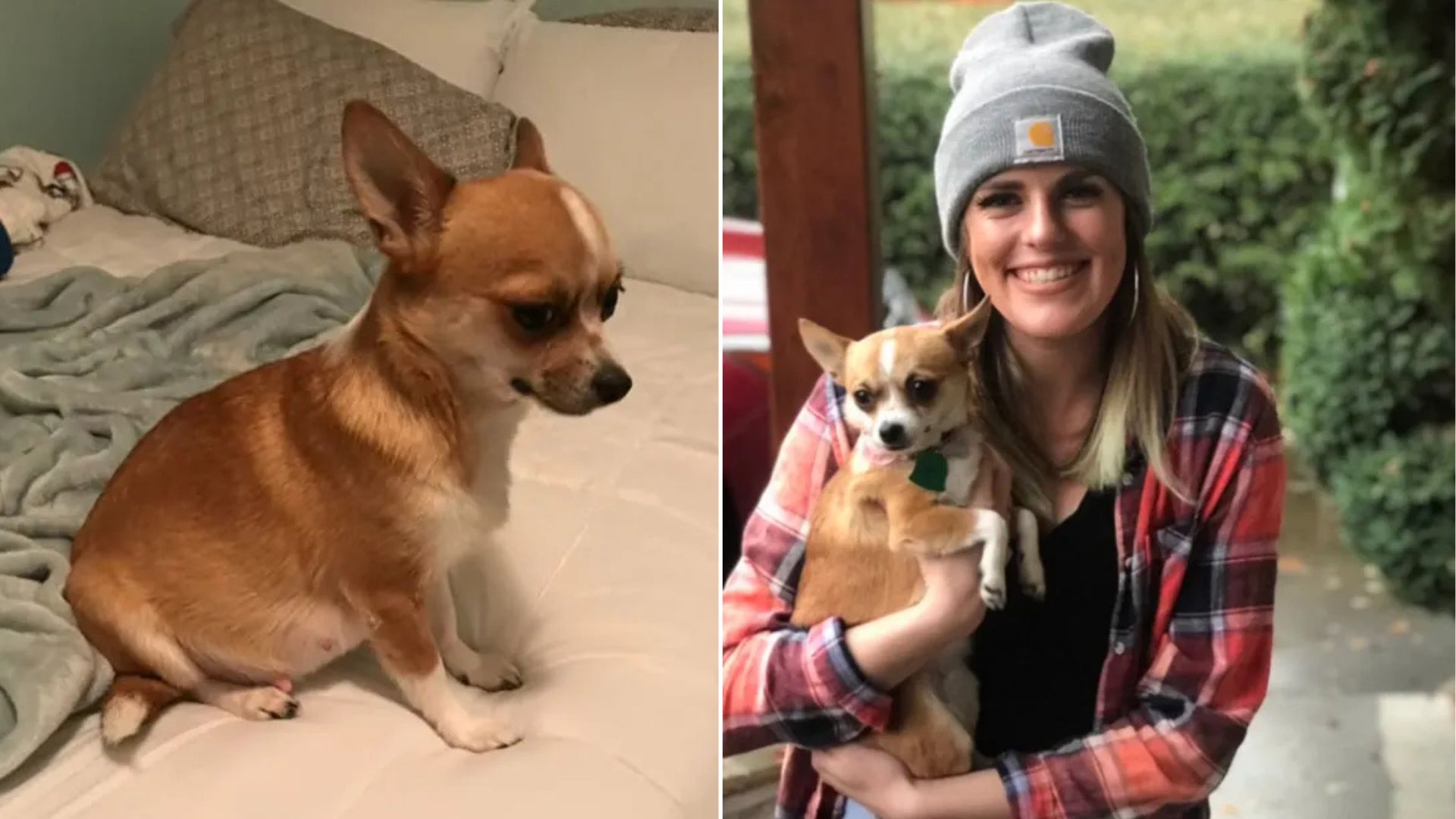 woman holding a dog