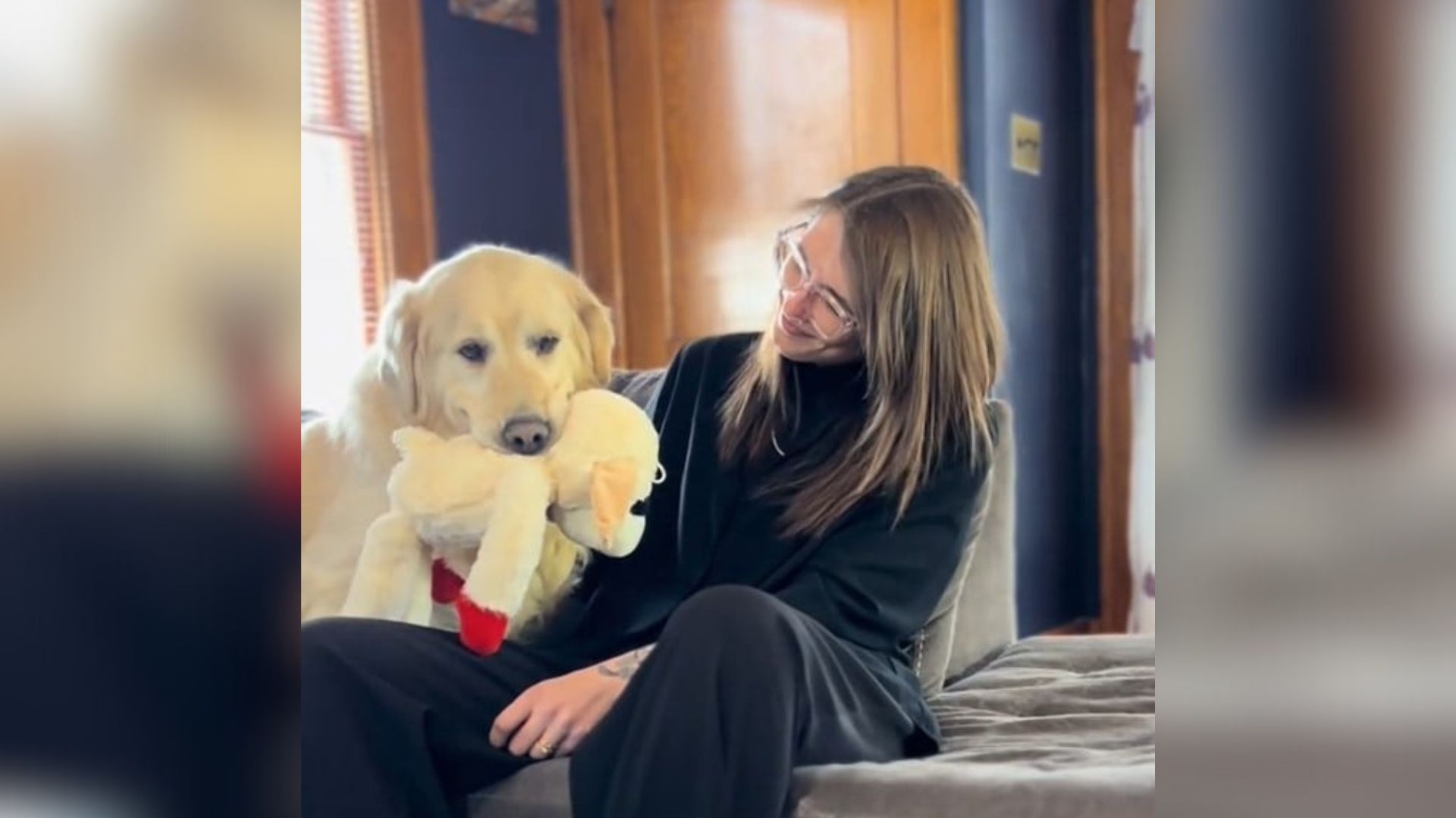 Senior Golden Retriever From Indiana Finds Love And Safety After 9 Years Of Abuse