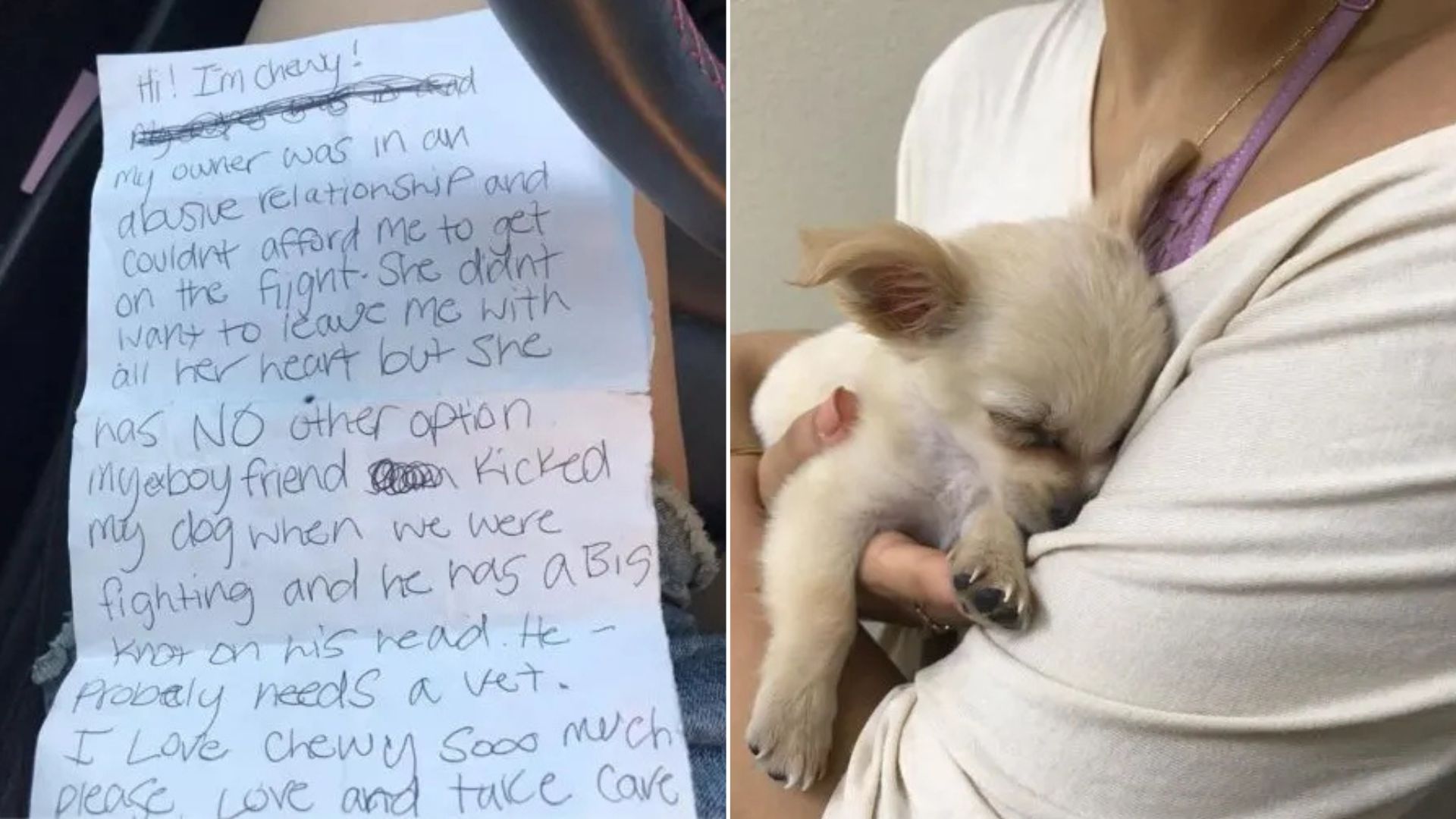 Sweet Dog Abandoned By Owner At Nevada Airport Restroom With Heartbreaking Note