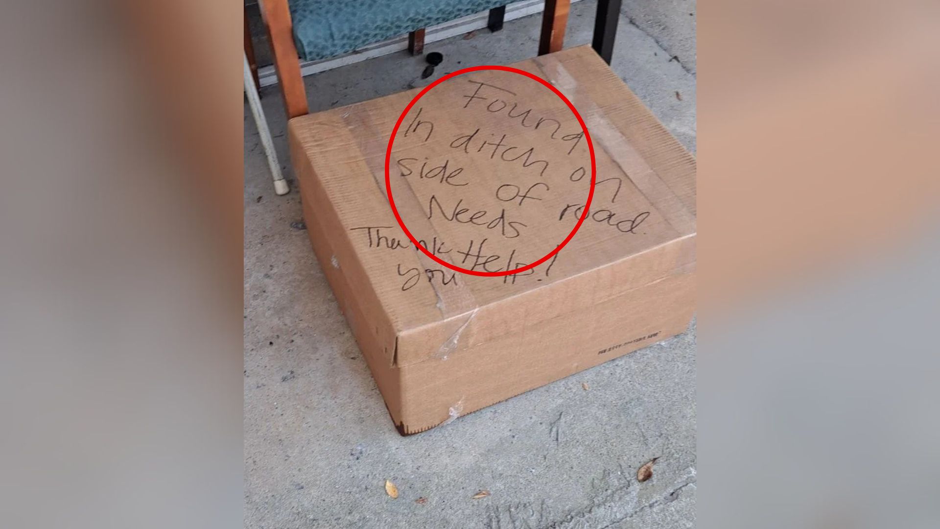 cardboard box on doorstep