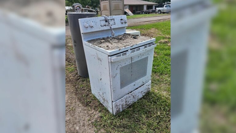 animal in oven
