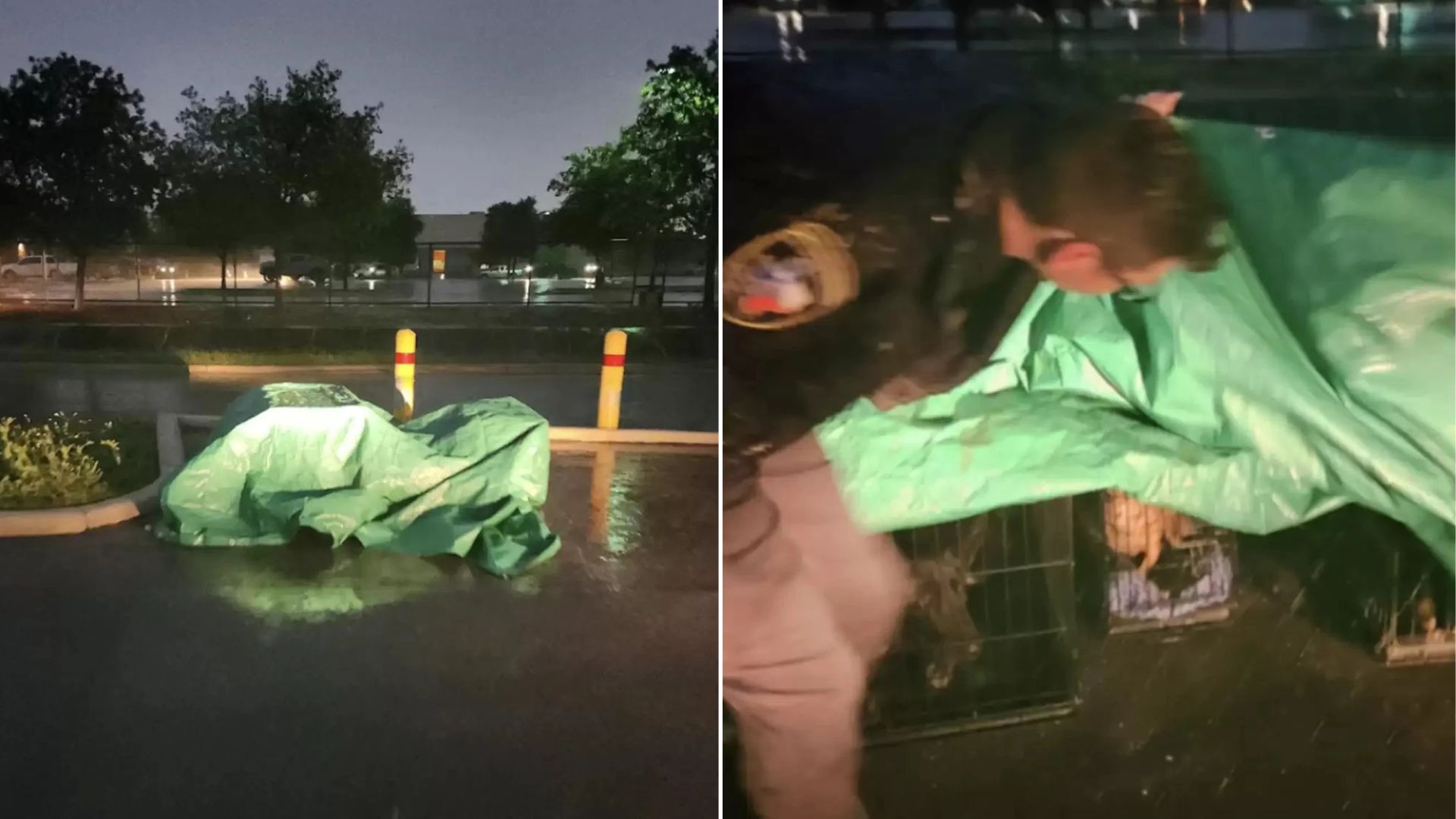 Texas Shelter Team Uncovers A Startling Surprise Beneath A Rain-Soaked Tarp