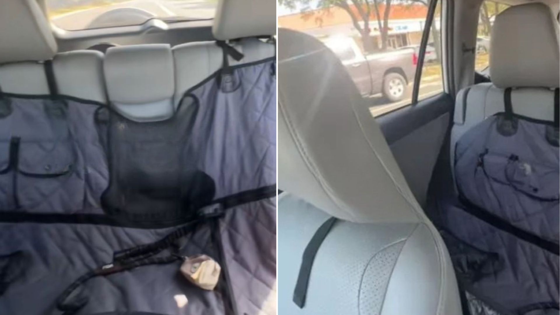 backseat of car