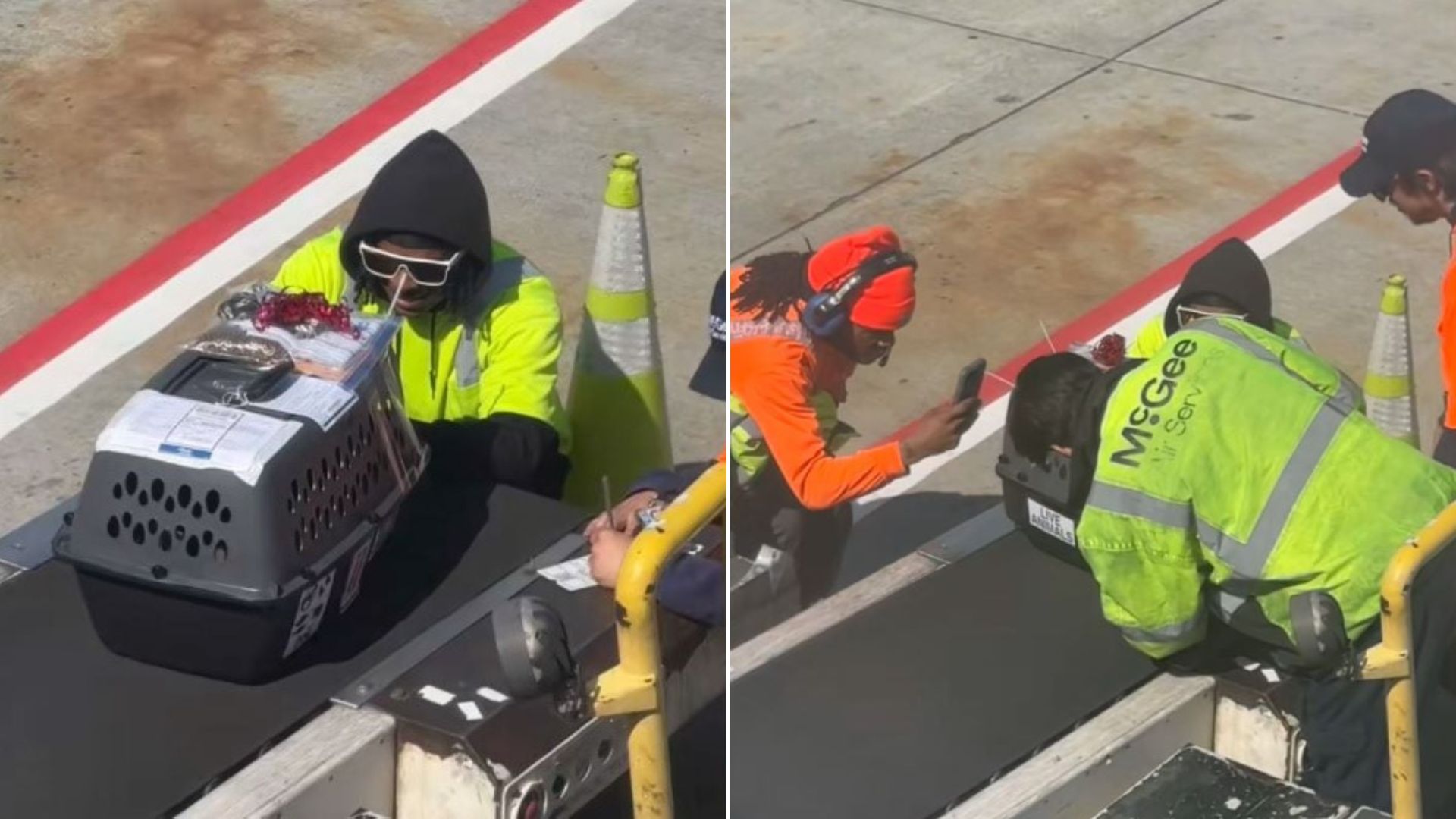 Washington Airport Workers’ Reaction To Finding A Sweet Surprise Inside A Kennel Will Brighten Your Day
