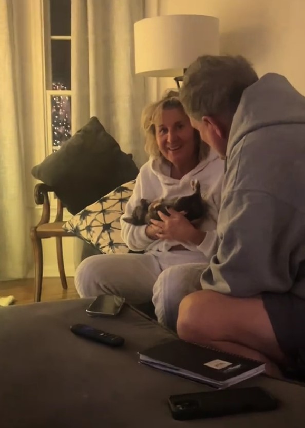 a couple holding a small puppy