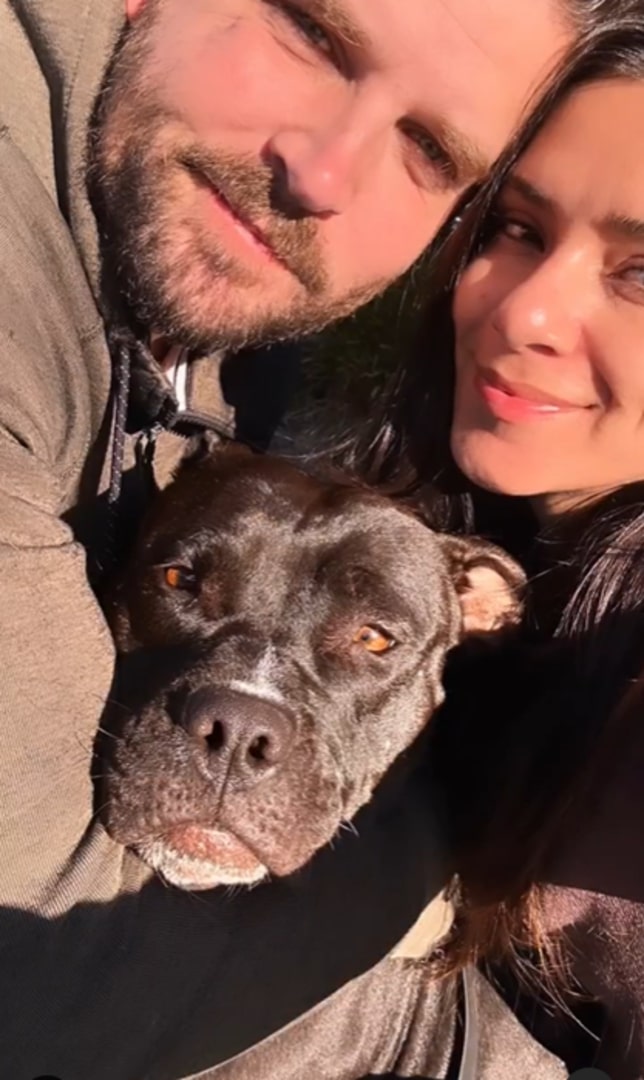 a couple hugging a dog