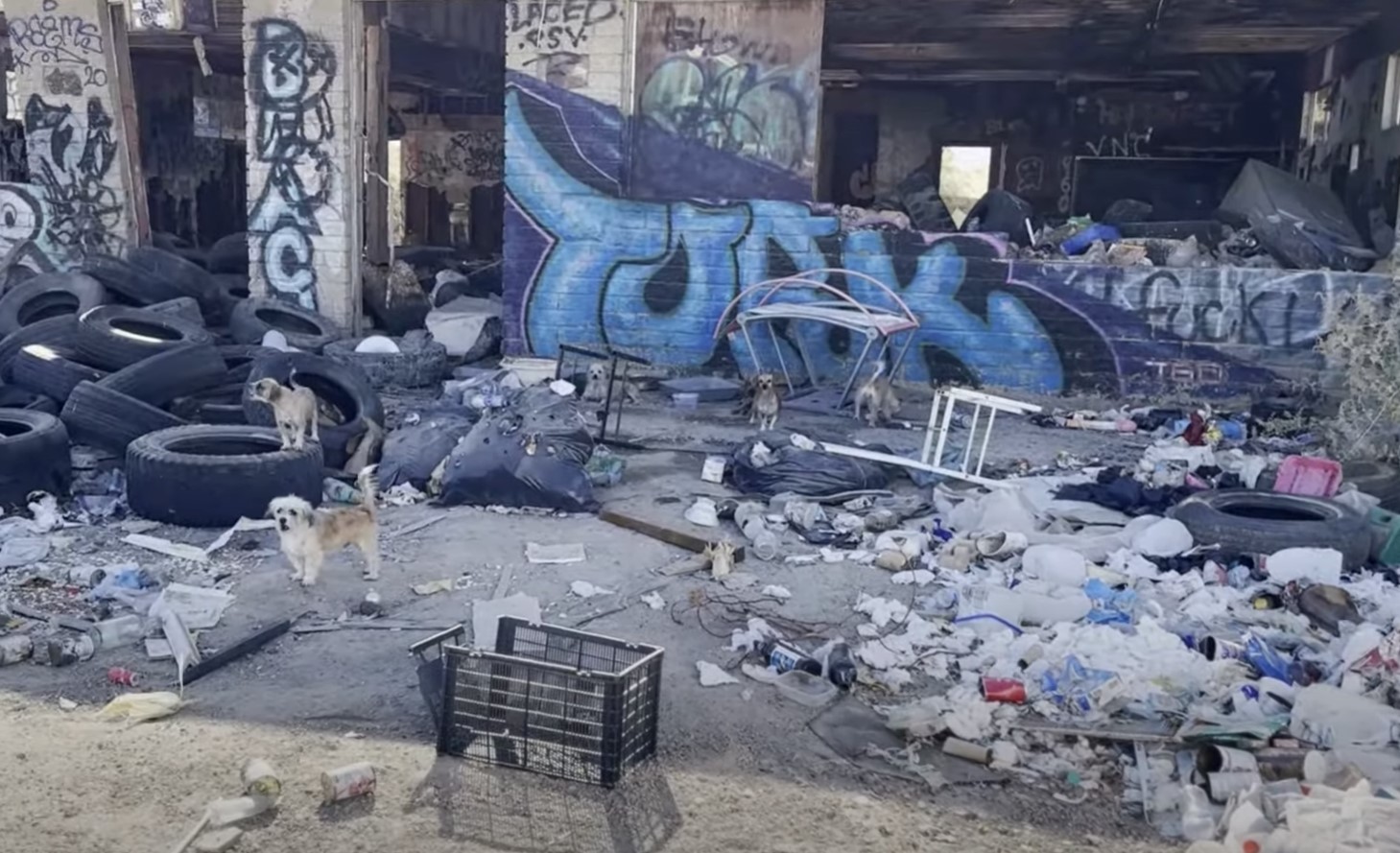 abandoned place full of trash