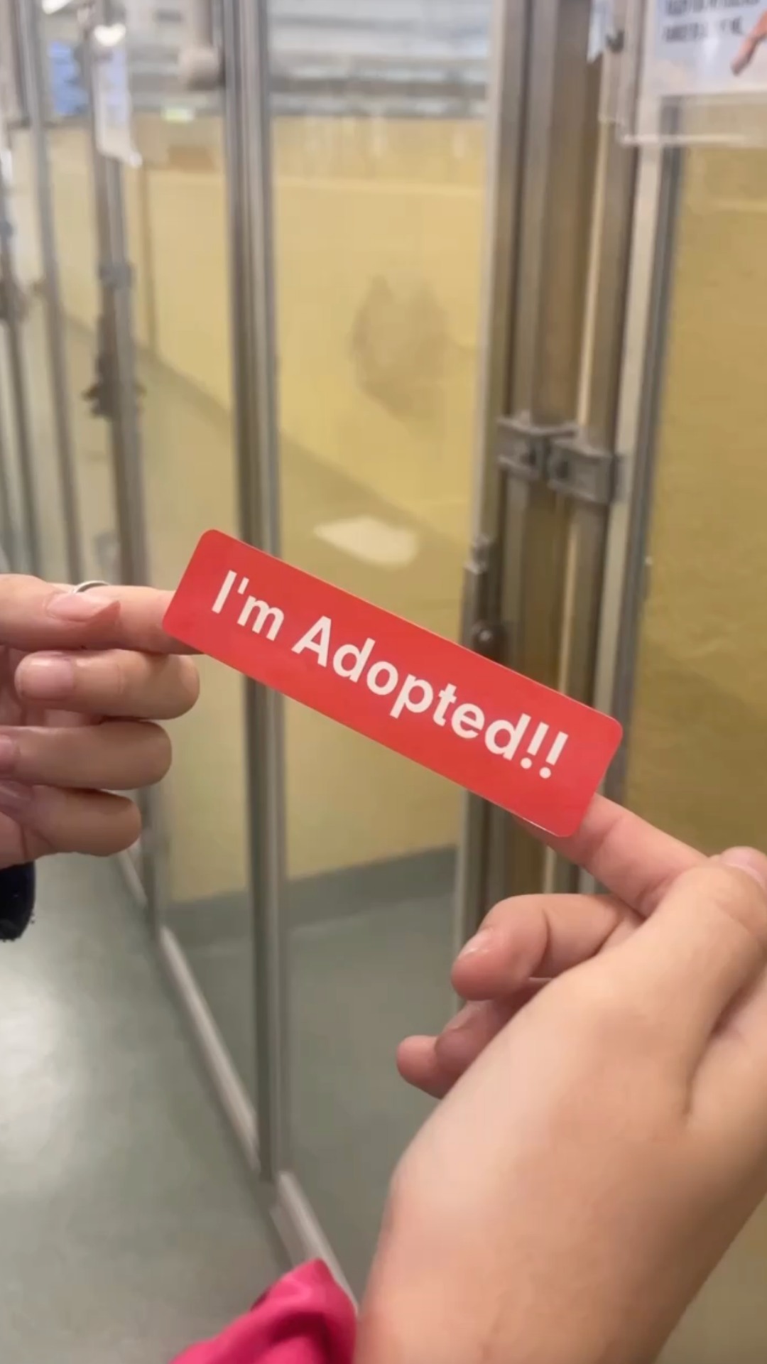 adopted sign
