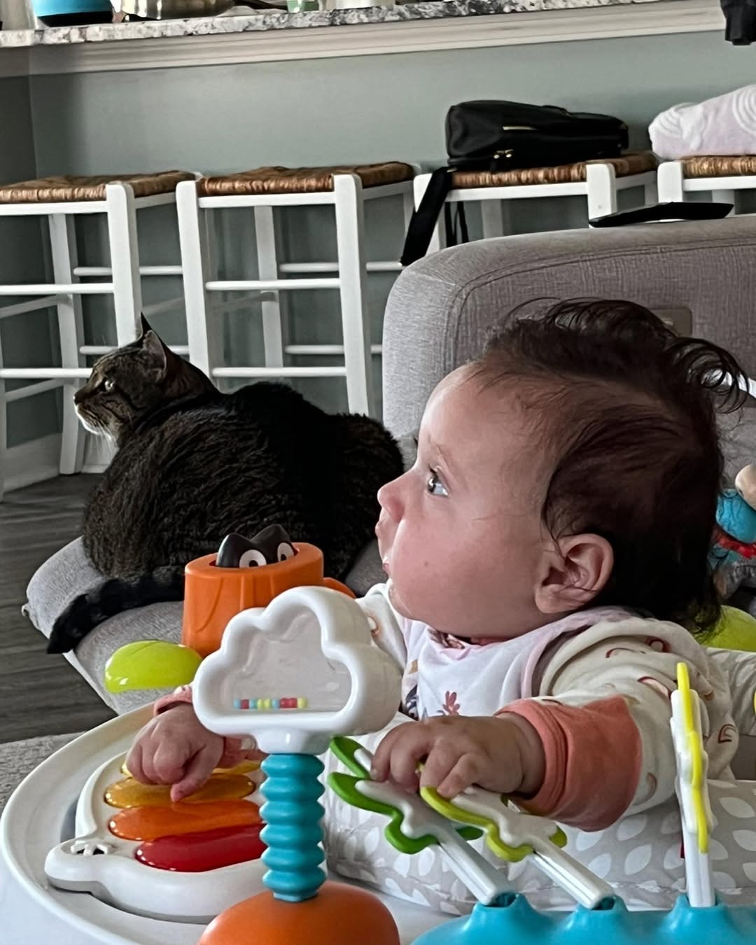 baby and cat