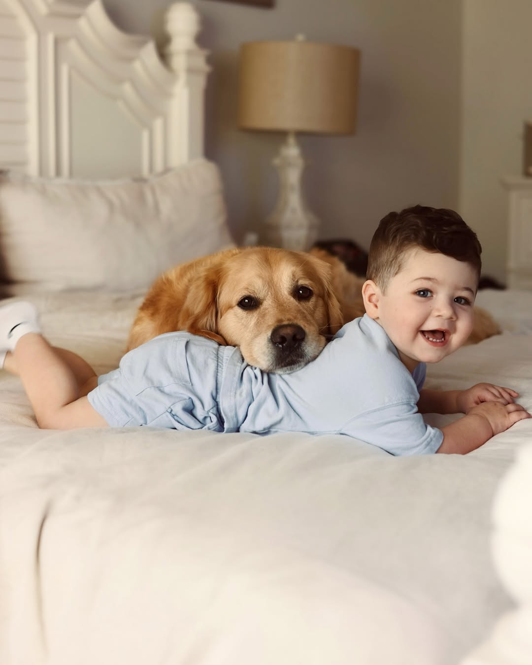 baby and dog