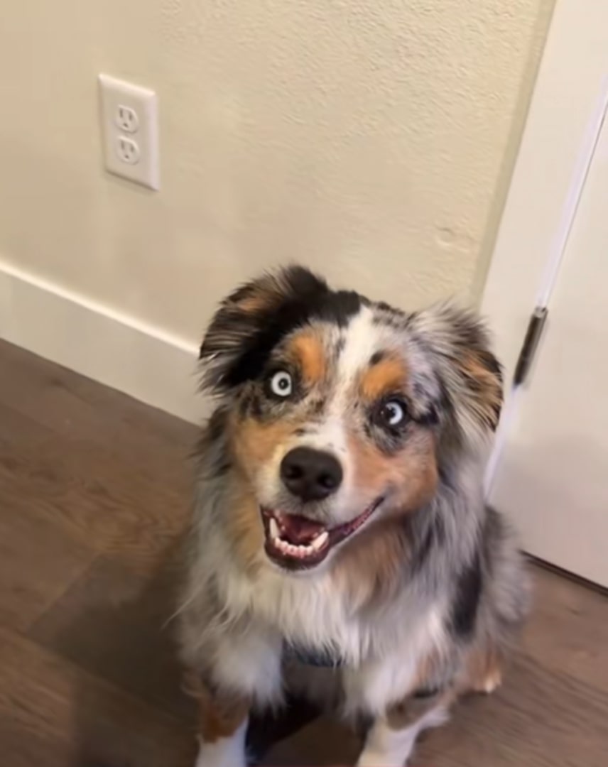 beautiful aussie smiling