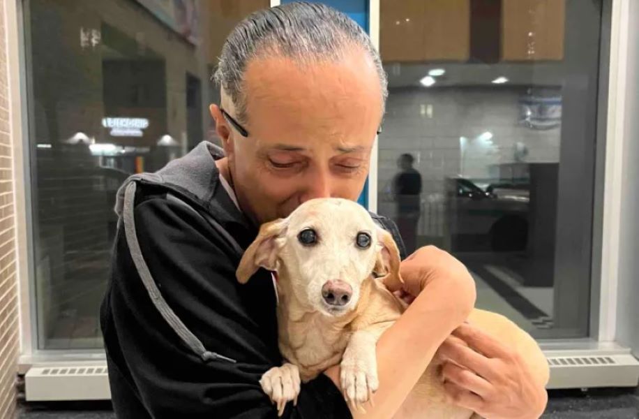 blind man and dog