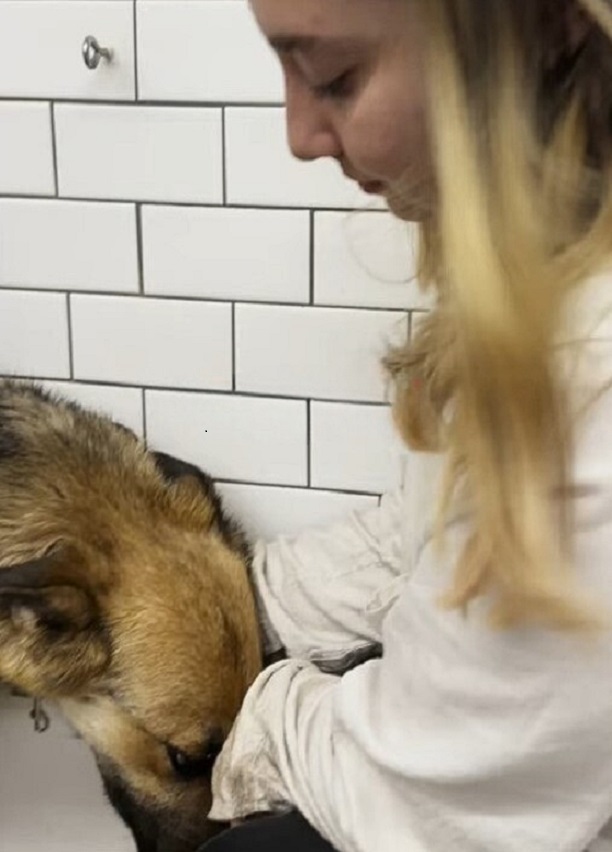 blonde woman and dog