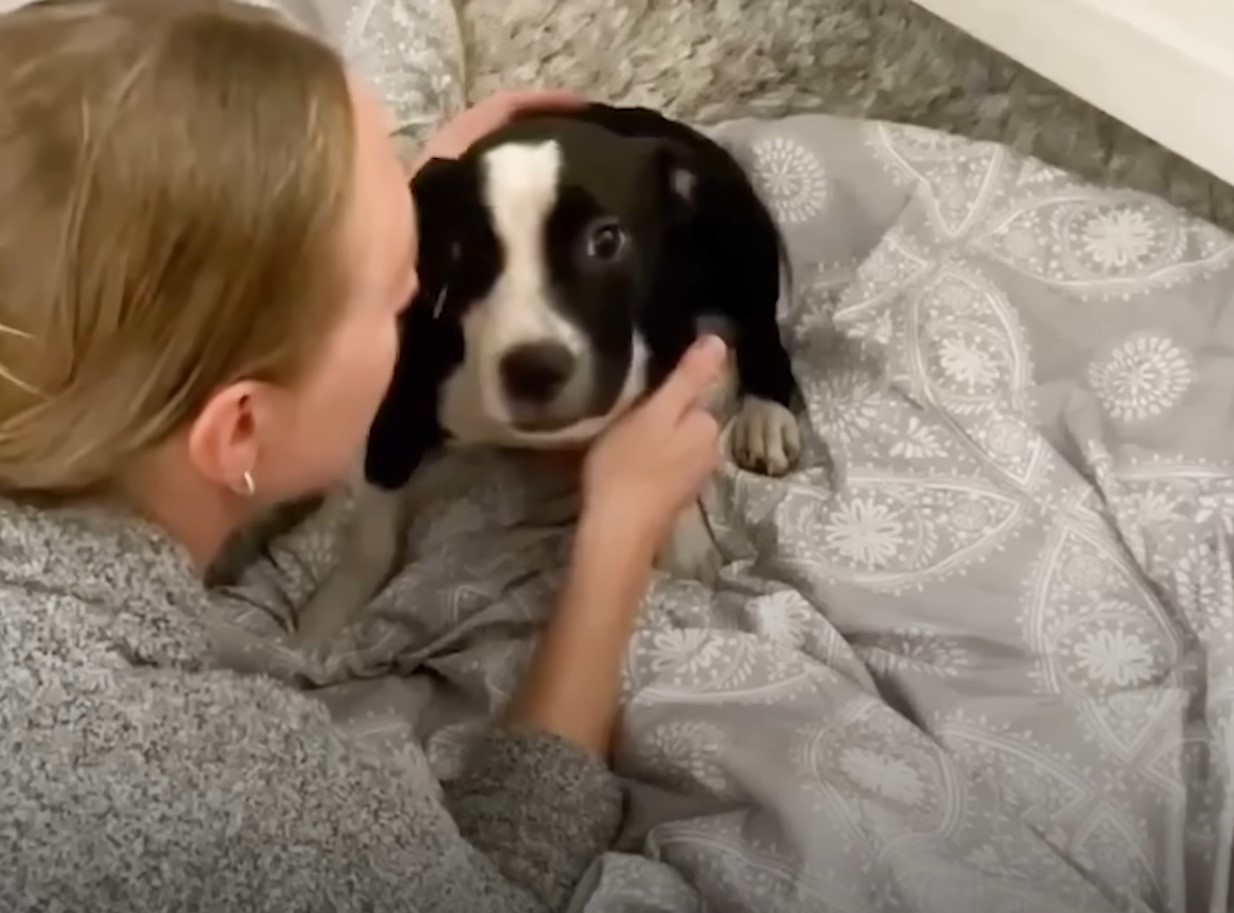 blonde woman kissing a dog