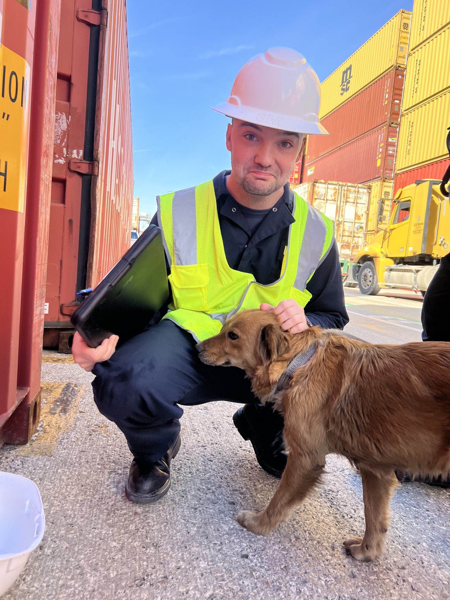 brown dog and worker