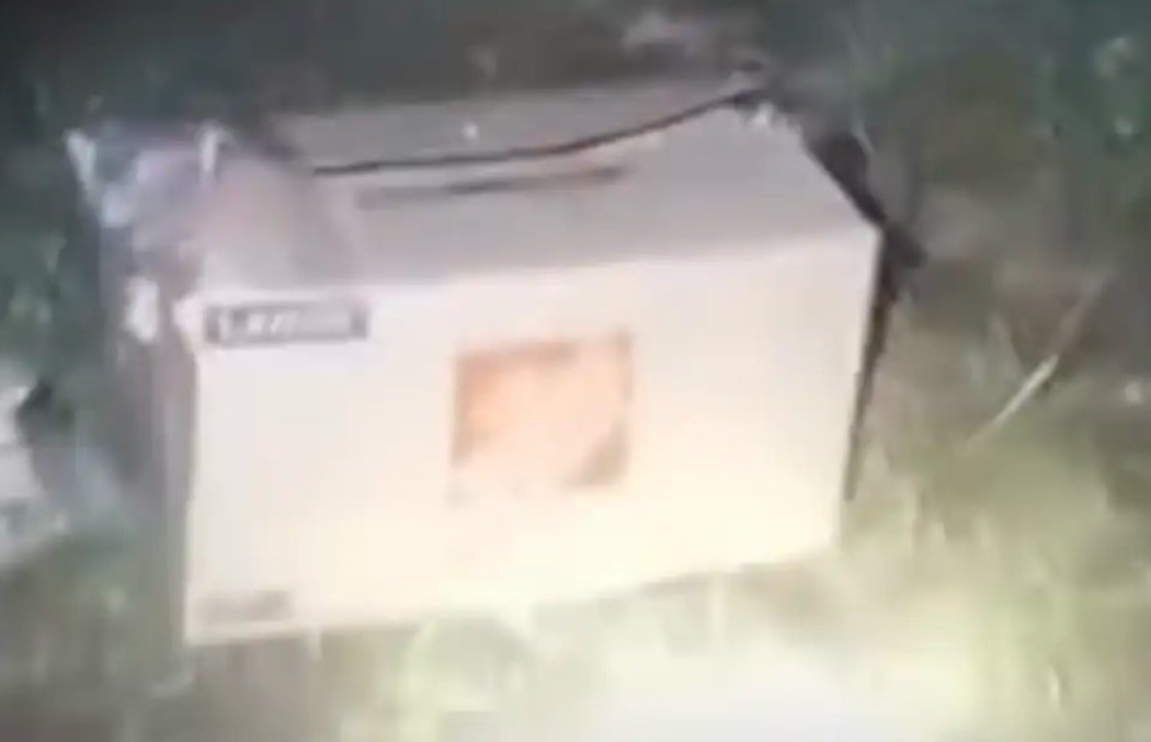 cardboard box
