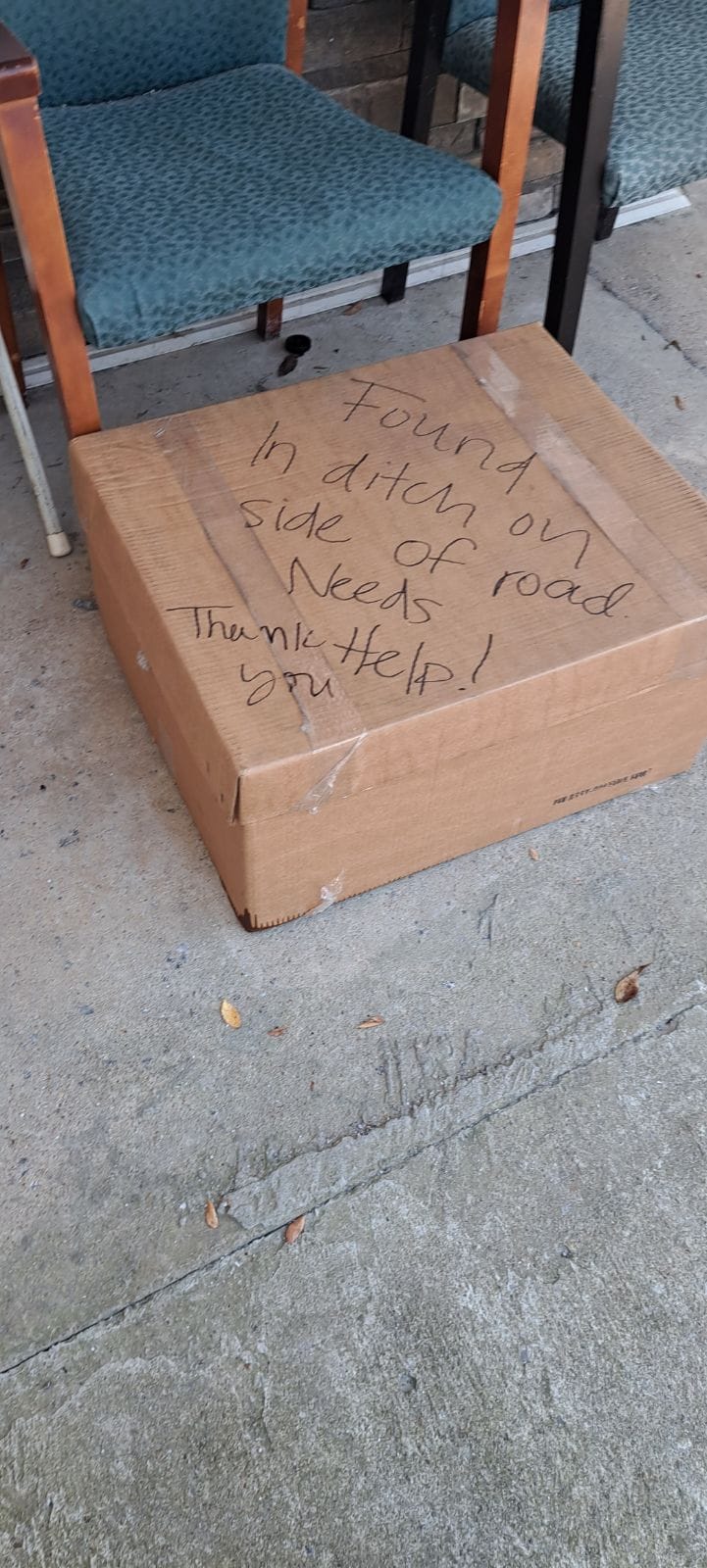 cardboard box
