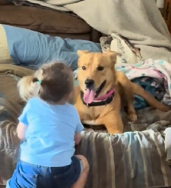 child with a dog