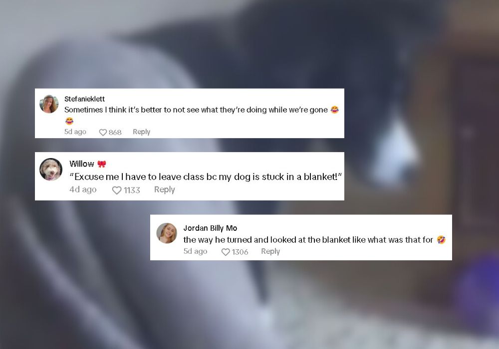 comment on tiktok
