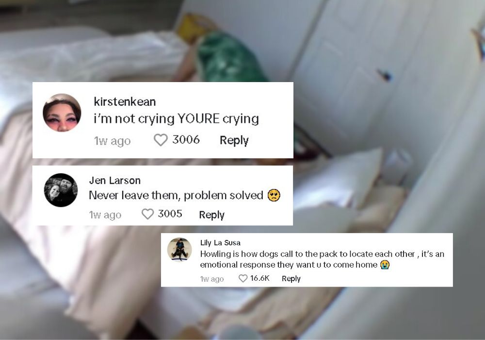 comments on tiktok