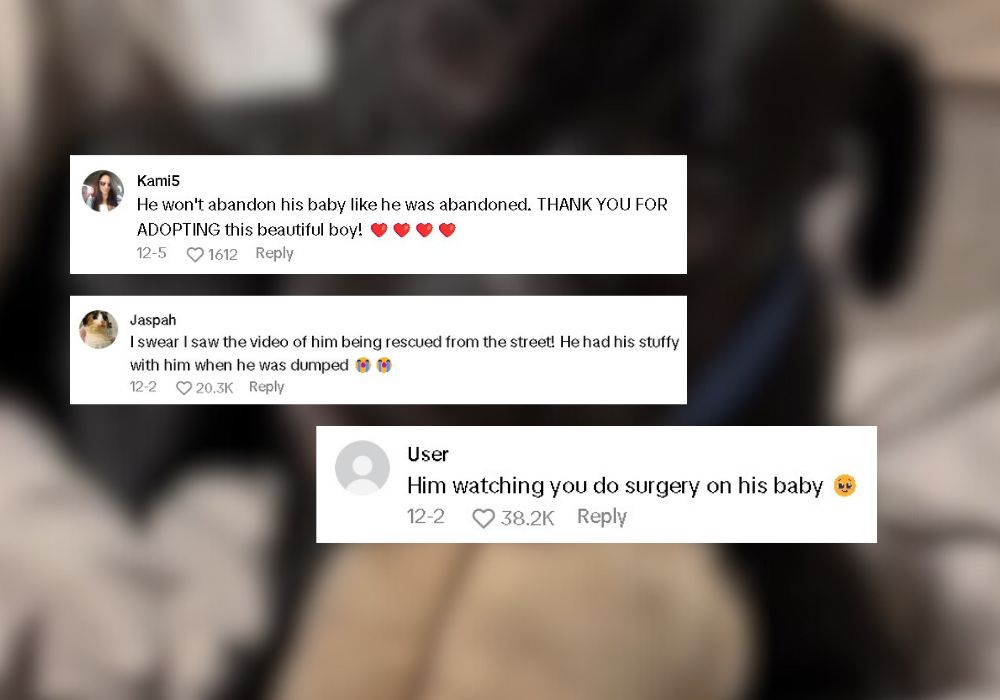 comments on tiktok