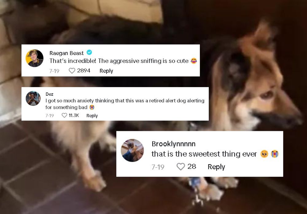 comments on tiktok