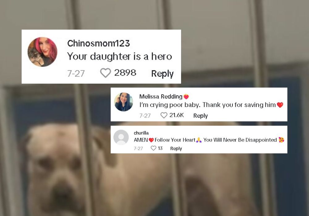 comments on tiktok