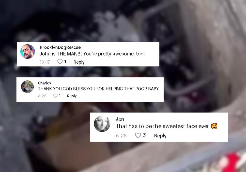 comments on tiktok