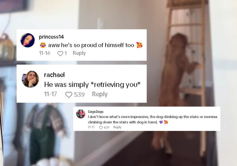 comments on tiktok