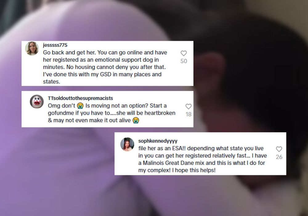 comments on tiktok