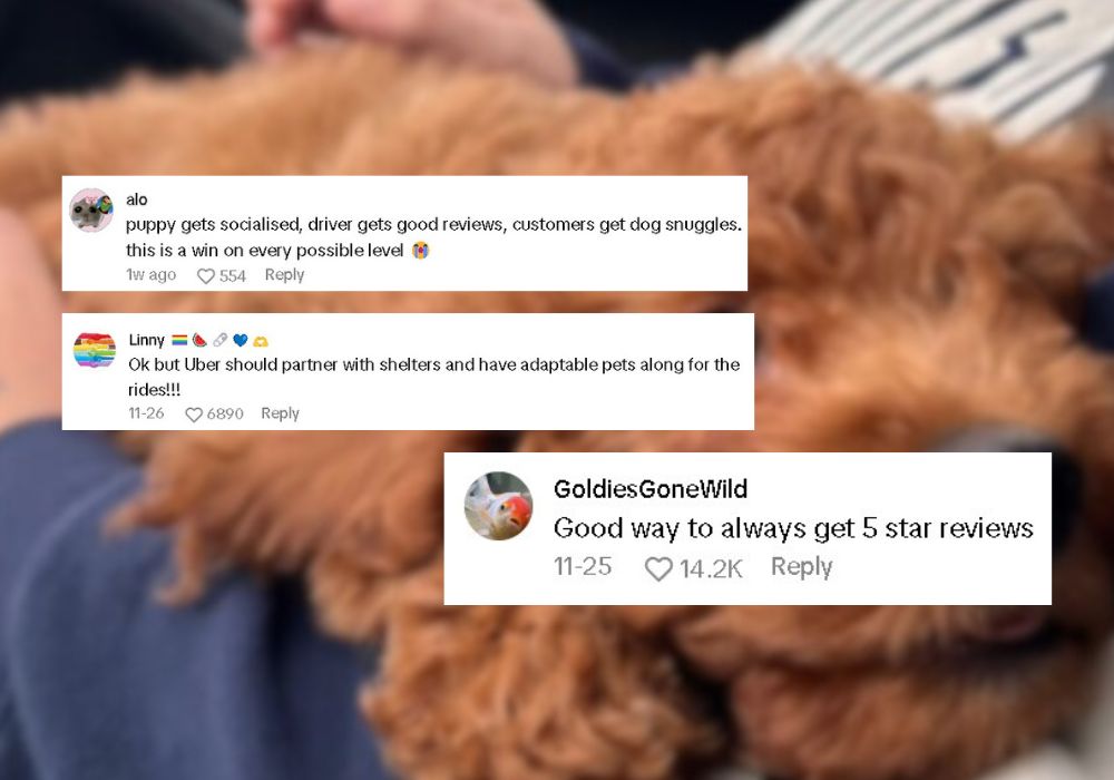 comments on tiktok