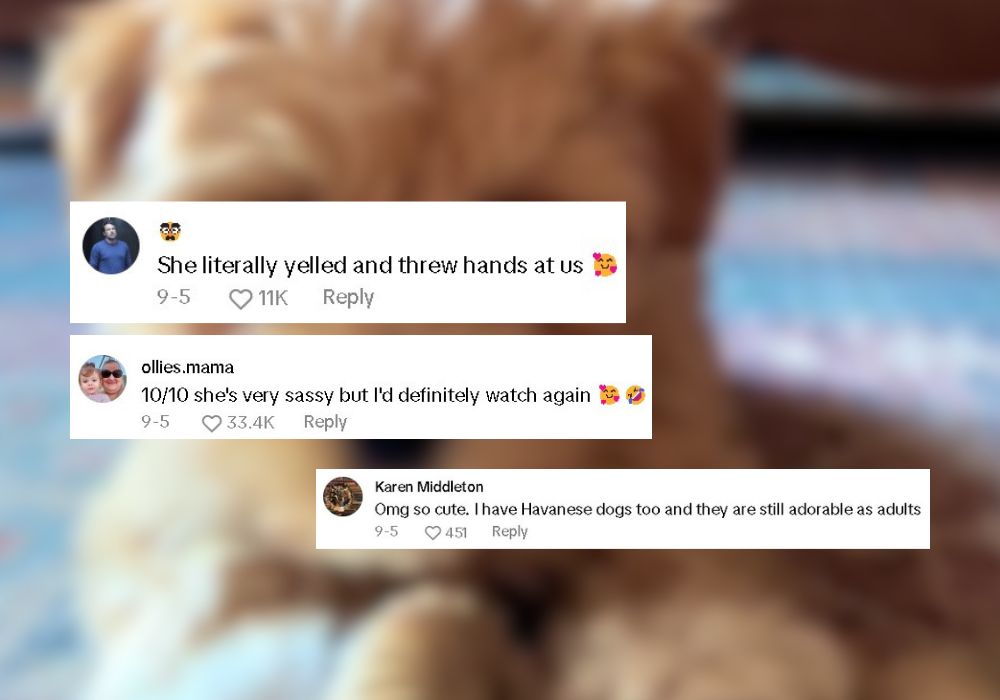 comments on tiktok