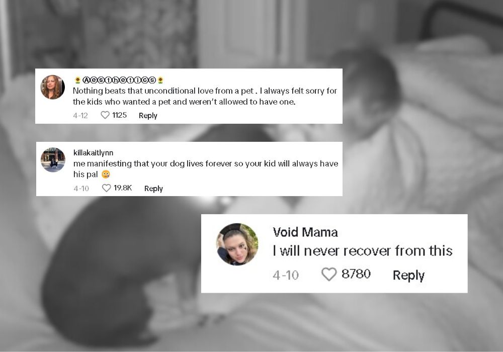 comments on tiktok