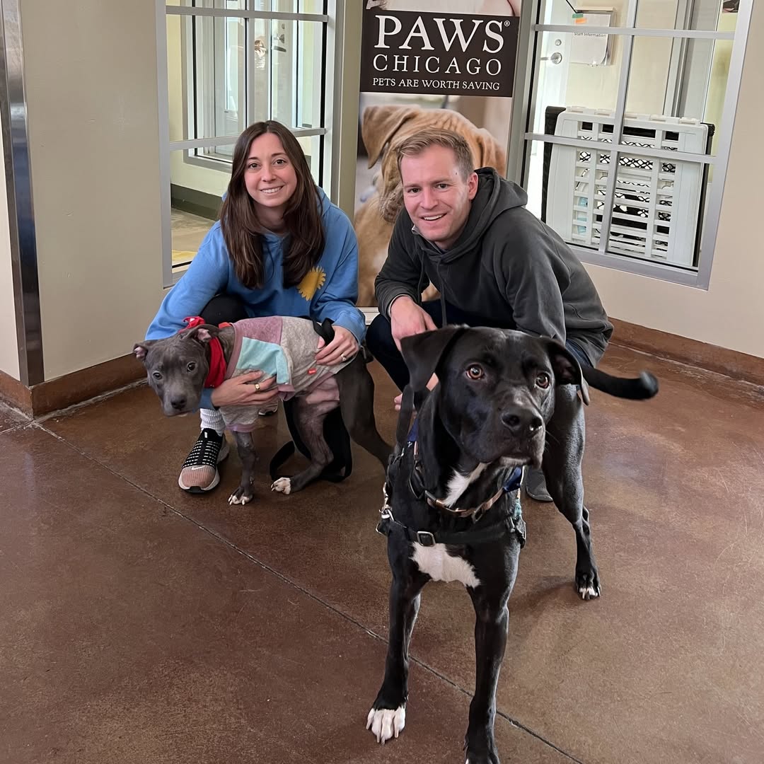 couple adopted three-legged dog