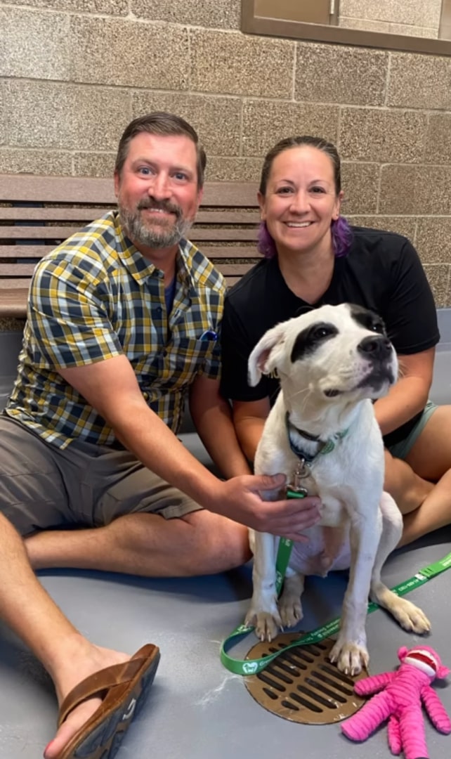 couple and dog
